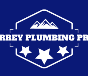 Surrey Plumbing Pro&#039;s Surrey Plumbing Pro&#039;s surreyplumbingpros logo 291x250